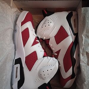 Jordan 6's  (carmines)